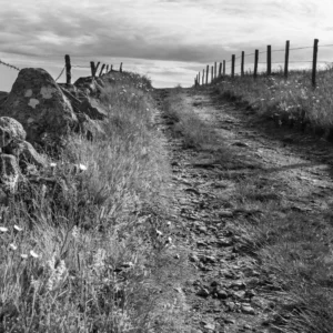 Chemin de randonnée escarpé en noir et blanc, bordé de murets en pierre, avec une forte lumière créant des ombres marquées s'intitulant Au-Delà