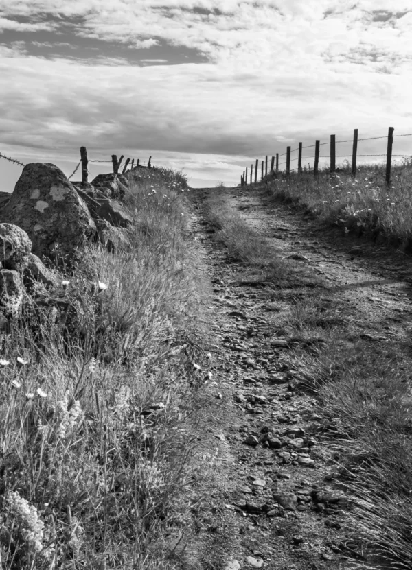 Chemin de randonnée escarpé en noir et blanc, bordé de murets en pierre, avec une forte lumière créant des ombres marquées s'intitulant Au-Delà