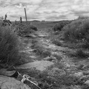 Photo de Chemin de campagne en noir et blanc s'intitulant La Promesse du Chemin, s'étendant vers une maison isolée au milieu d'un paysage vallonné et nuageux au format 13x18 cm.