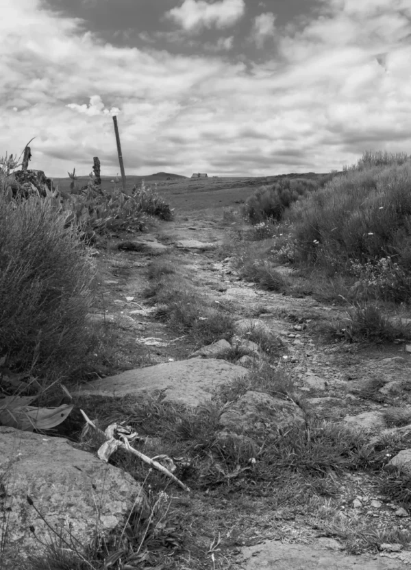 Photo de Chemin de campagne en noir et blanc s'intitulant La Promesse du Chemin, s'étendant vers une maison isolée au milieu d'un paysage vallonné et nuageux au format 13x18 cm.