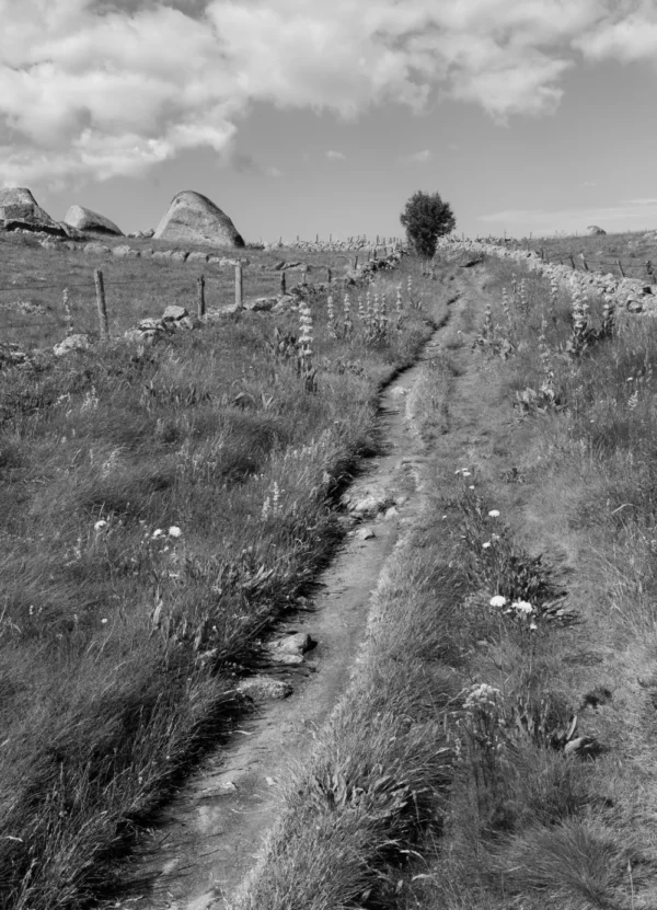 Chemin escarpé avec un horizon en noir et blanc, avec un gros rocher au second plan, s'intitulant Pierre et Ciel pour le mélange de présence de pierre et de ciel.